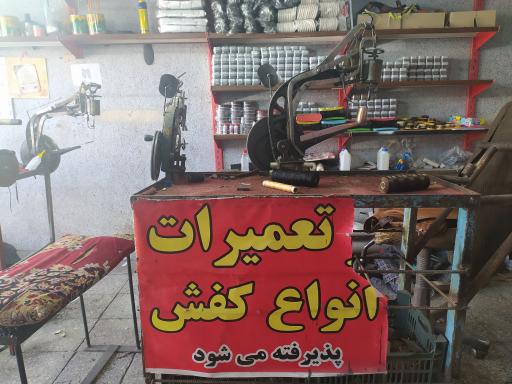 عکس کفاشی صداقت