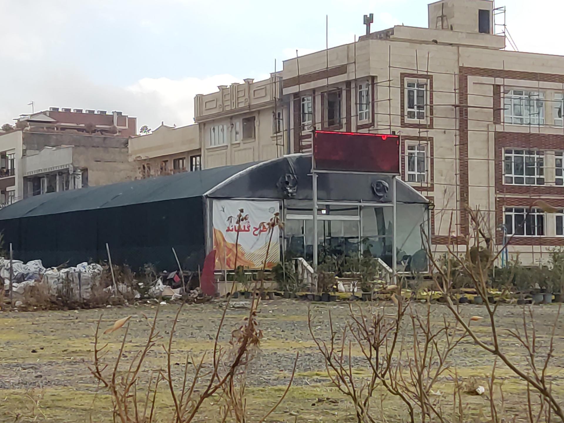 عکس گلکده موج