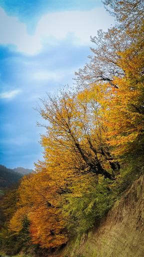 عکس جاذبه گردشگری سوادکوه