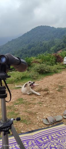 عکس جاذبه گردشگری سوادکوه