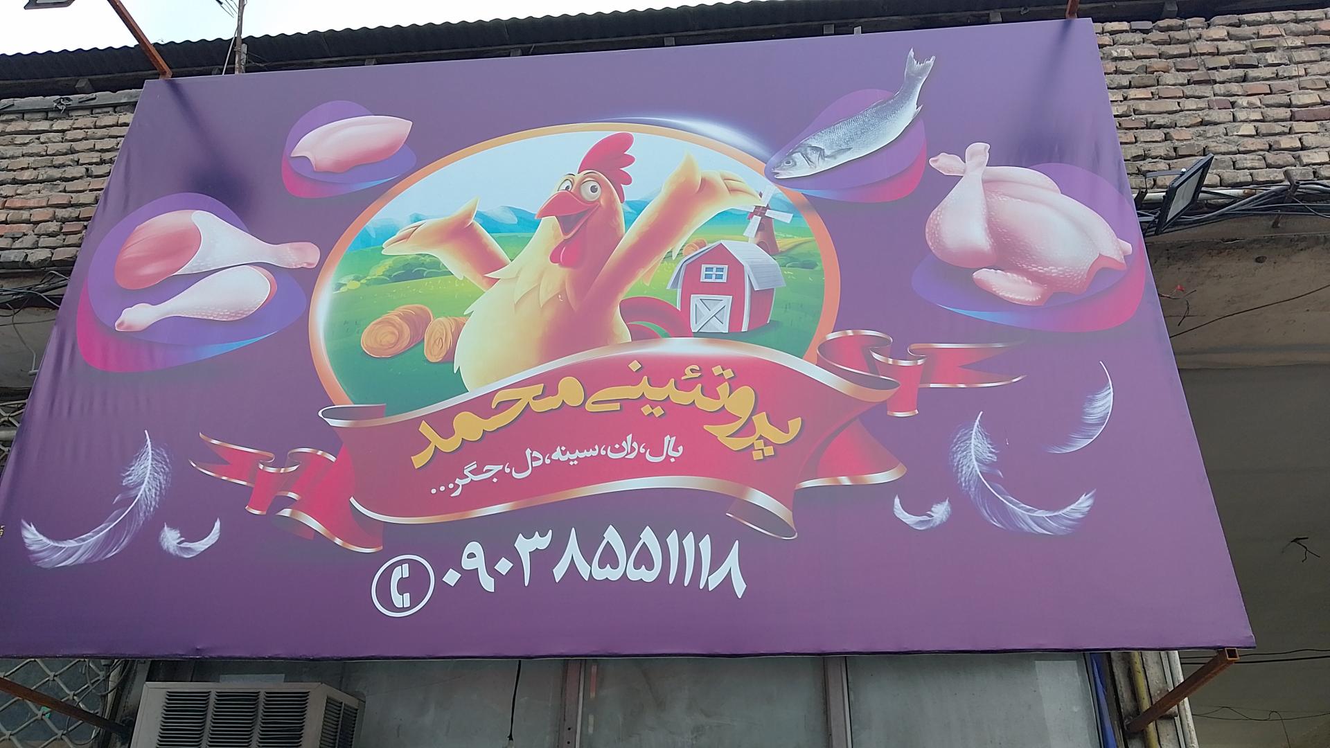 عکس مرغ و پروتئین محمد منجذب