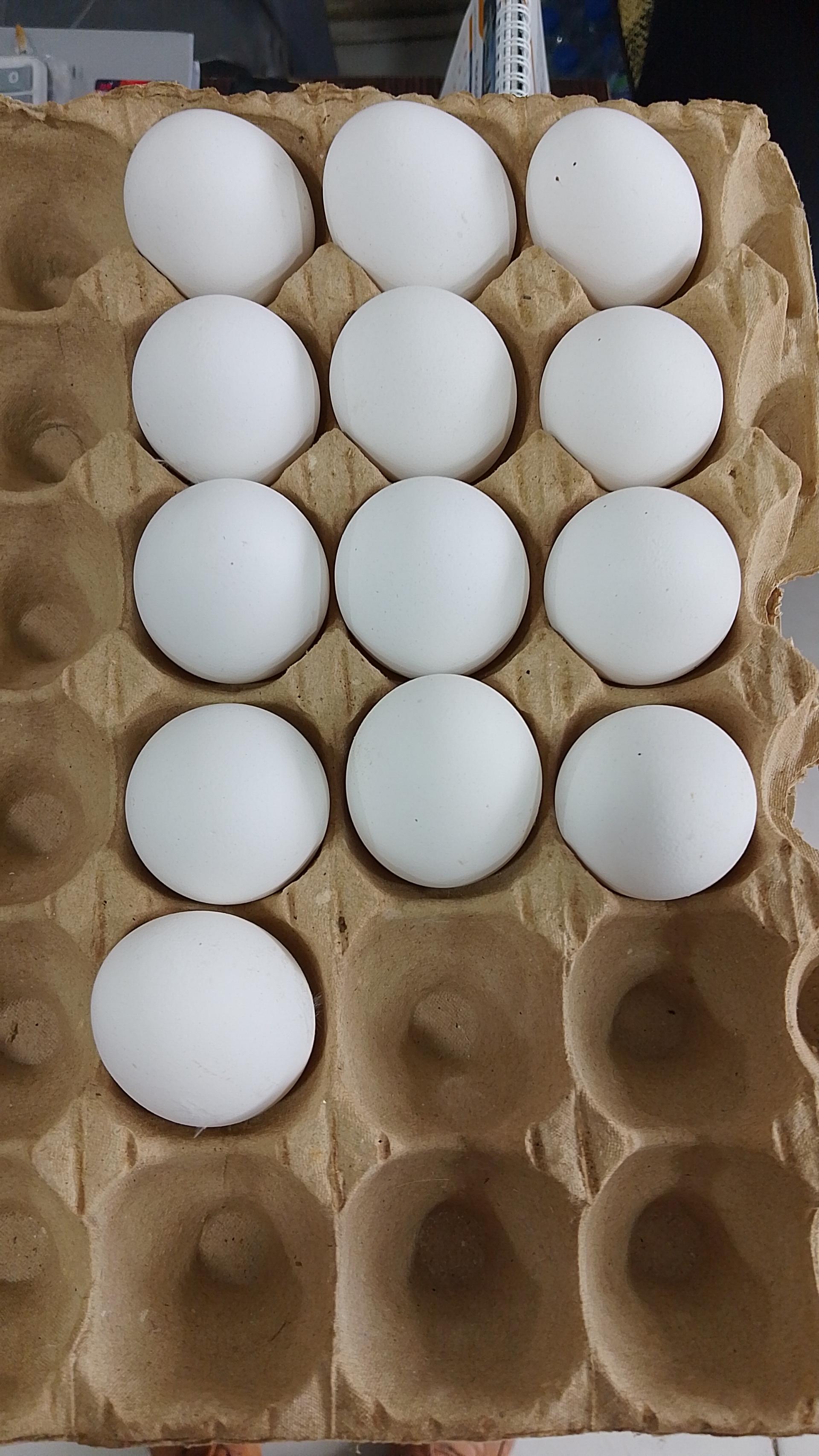 عکس مرغ و پروتئین محمد منجذب