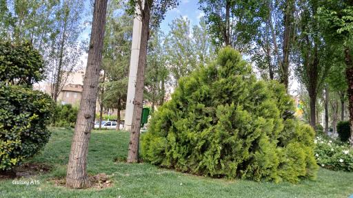 عکس بوستان سپیده