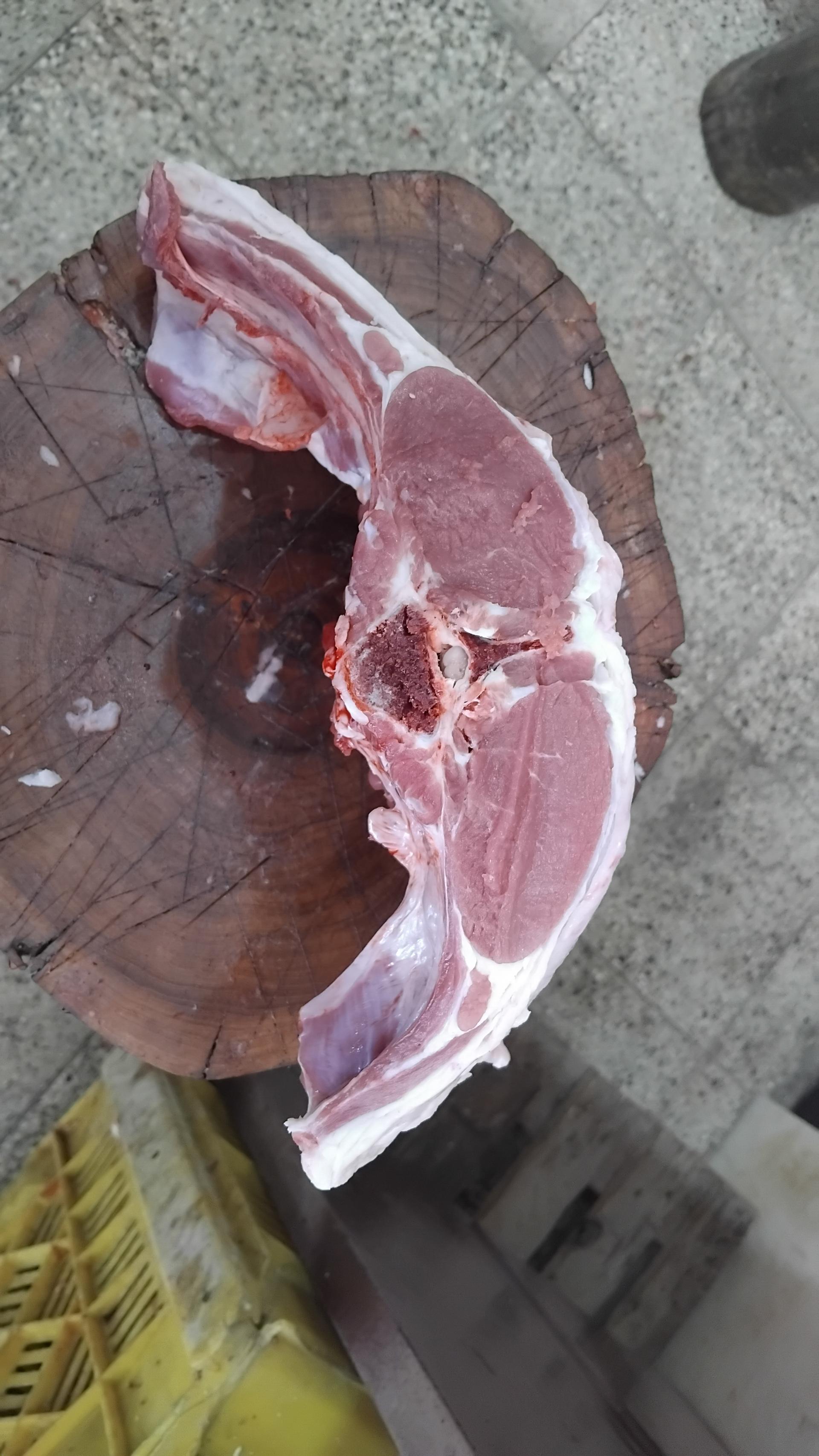 عکس سوپر پروتئین شهروند