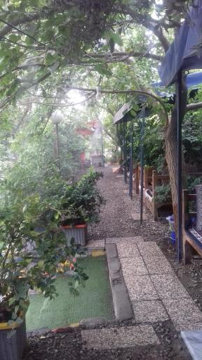 عکس باغچه وجگرسراپونه