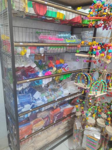 عکس پرنده فروشی چیکو