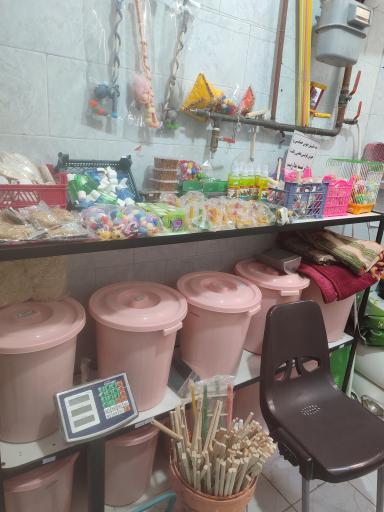 عکس پرنده فروشی چیکو