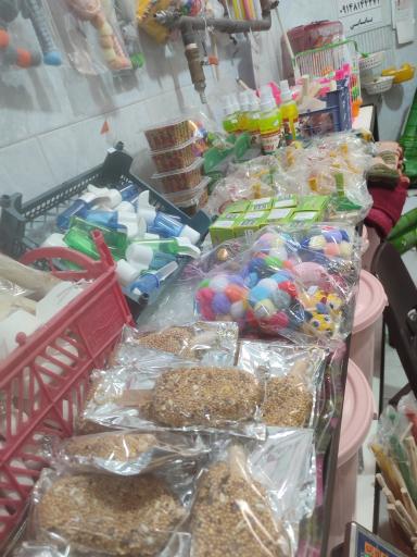 عکس پرنده فروشی چیکو