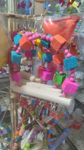 عکس پرنده فروشی چیکو