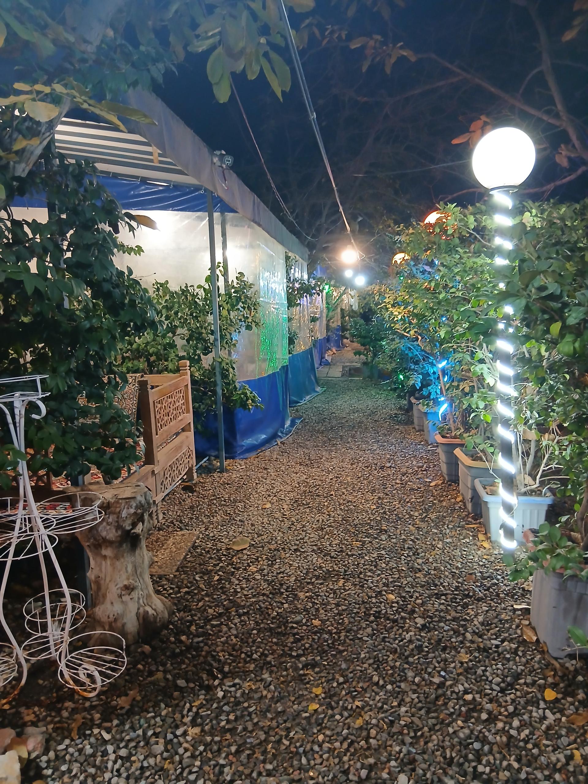 عکس باغچه و جگرسرا پونه