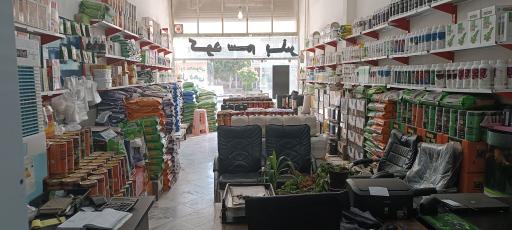 عکس کود سم بذر ماهان شرق همیشه سبز