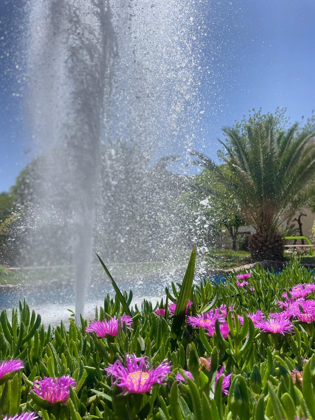 عکس دانشگاه سیستان و بلوچستان