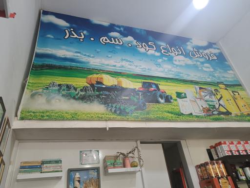 عکس کود سم بذر ماهان شرق همیشه سبز