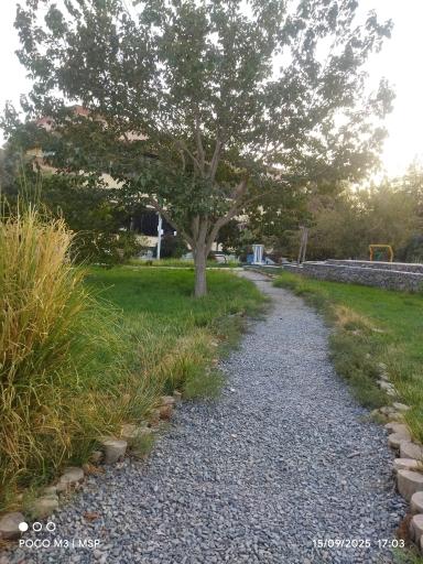 عکس دانشگاه سیستان و بلوچستان