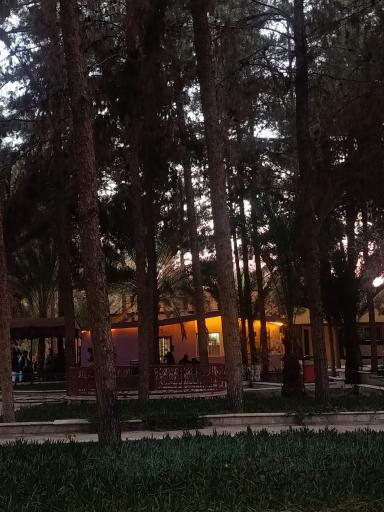 دانشگاه سیستان و بلوچستان
