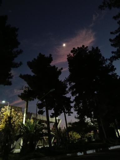 دانشگاه سیستان و بلوچستان