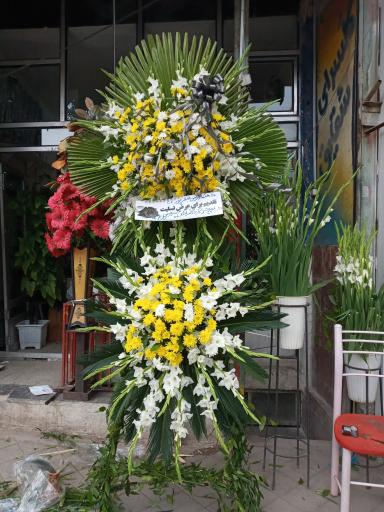 عکس گلفروشی شقایق