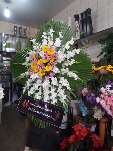 عکس گلفروشی شقایق