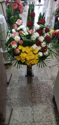 عکس گلفروشی شقایق