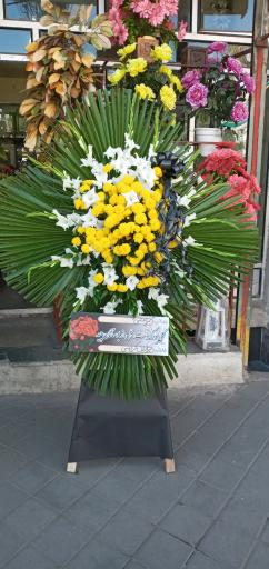 عکس گلفروشی شقایق