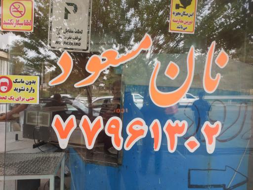 عکس نان لواش مسعود