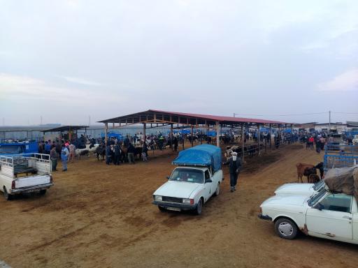 عکس میدان دام گنبد-مال بازار