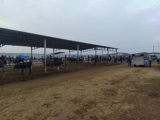 عکس میدان دام گنبد-مال بازار