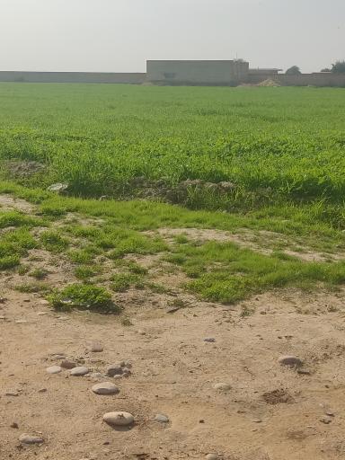عکس منطقه ام الدبس