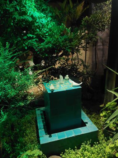 عکس کافه رستوران گیاهی مادولانژ