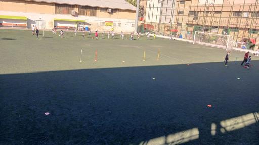 عکس ورزشگاه شهید موگویی