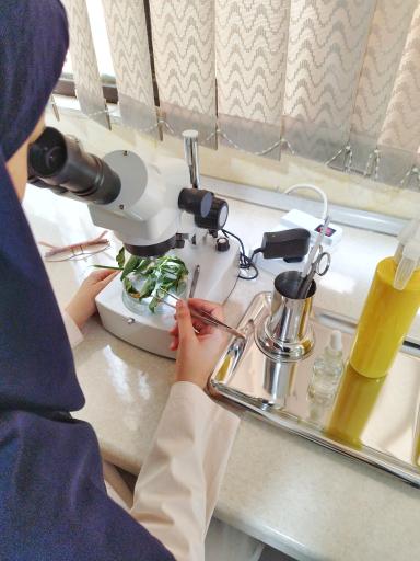 عکس کلینیک گیاهپزشکی فارمر