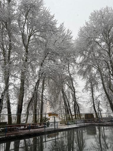 عکس بوستان مرادآباد