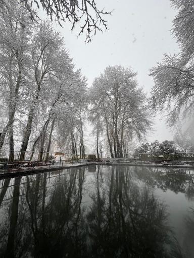 عکس بوستان مرادآباد