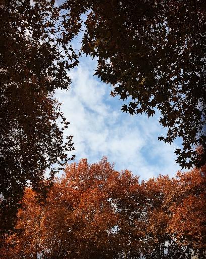 عکس بوستان مرادآباد