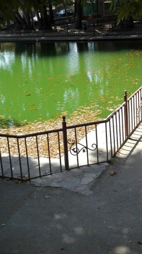 عکس بوستان مرادآباد