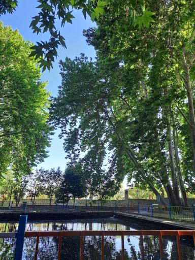 عکس بوستان مرادآباد