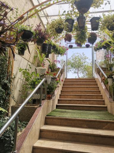 عکس رستوران یادگار