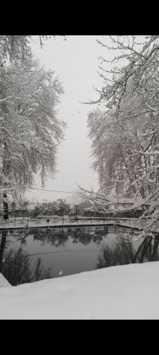 عکس بوستان مرادآباد