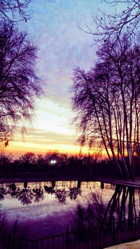 عکس بوستان مرادآباد