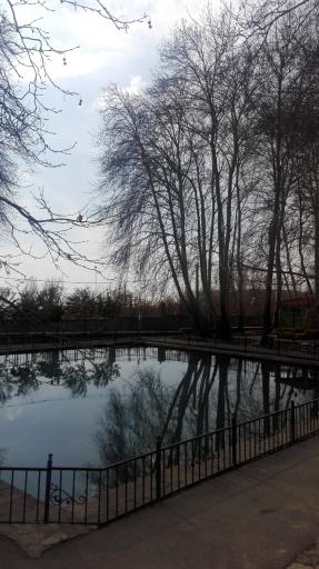 عکس بوستان مرادآباد