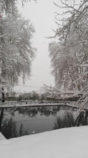 عکس بوستان مرادآباد