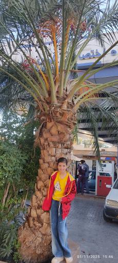 عکس پمپ بنزین گوهرریزی