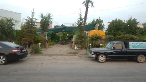 عکس گل و گیاه کاملیا (مهندس ملکان)