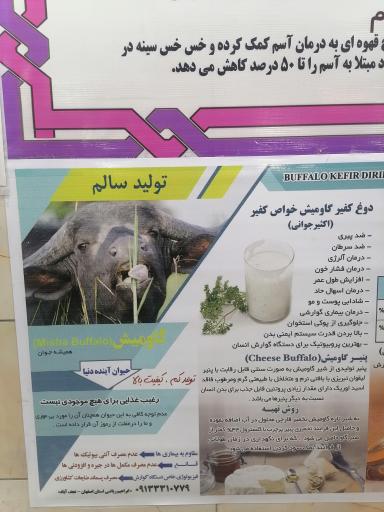 عکس رستوران یادگار