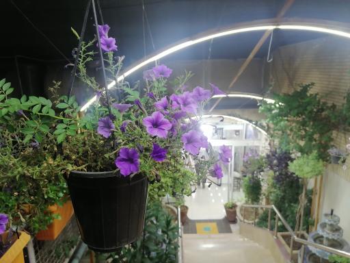 عکس رستوران یادگار