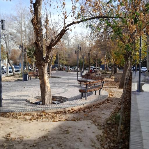 عکس فضای سبز 