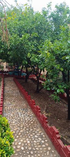 عکس مهمانسرای عفیف آباد ارتش