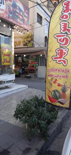 عکس میوه سرای بهار