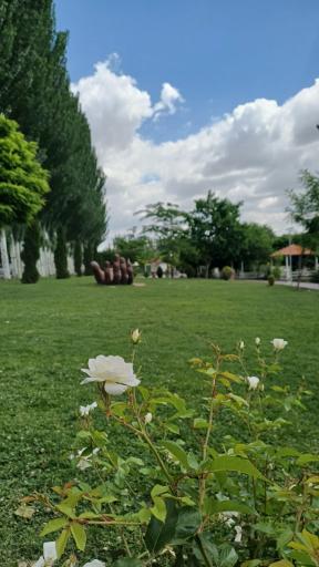 پارک ساحلی یادگاران