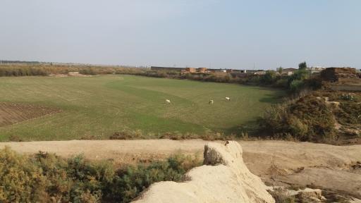 عکس سلاق یاسی تپه